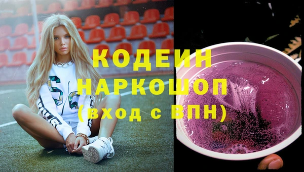 МДПВ Вяземский