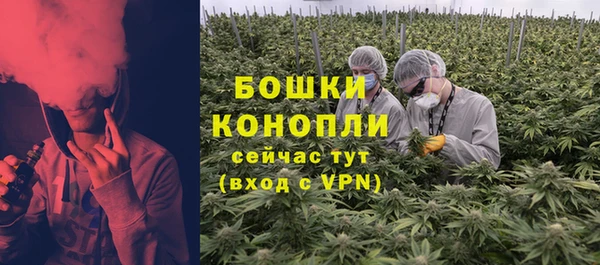 МДПВ Вяземский