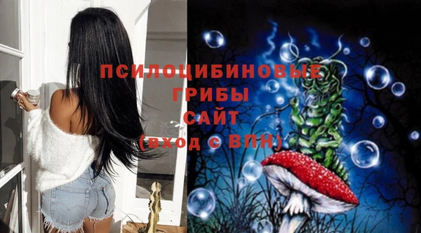 бошки Волоколамск