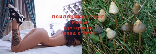 трава Вязьма