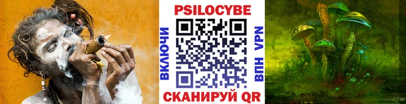 Купить закладки Лобня Галлюциногенные грибы Psilocybe